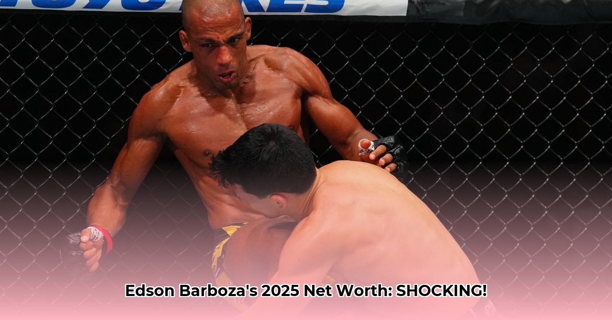 edson-barboza-net-worth
